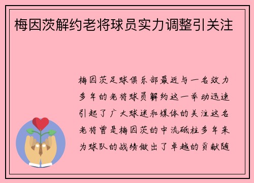 梅因茨解约老将球员实力调整引关注
